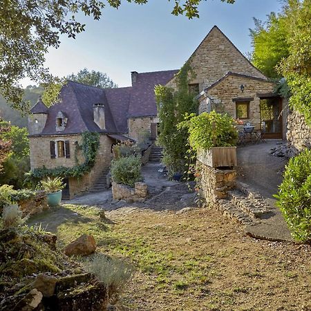 Domaine De Cantegrel - Gites De Charme Et Suite Troglodyte En Perigord Vitrac  Eksteriør bilde