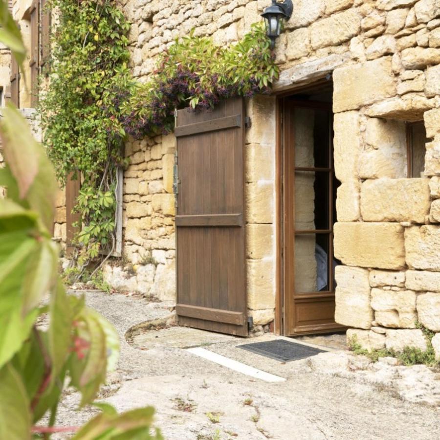 Domaine De Cantegrel - Gites De Charme Et Suite Troglodyte En Perigord Vitrac  Eksteriør bilde