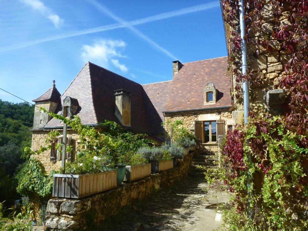 Domaine De Cantegrel - Gites De Charme Et Suite Troglodyte En Perigord Vitrac  Eksteriør bilde