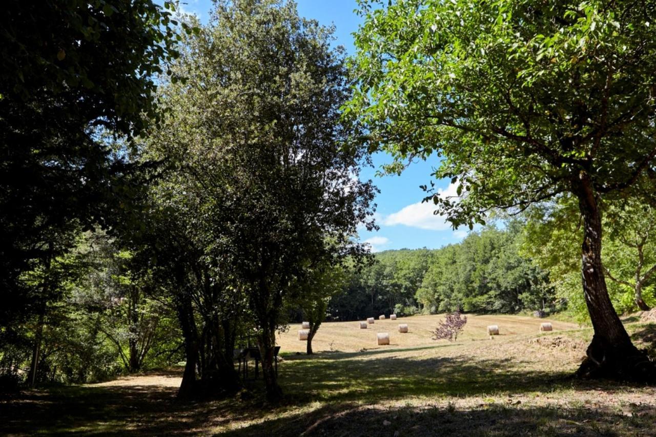 Domaine De Cantegrel - Gites De Charme Et Suite Troglodyte En Perigord Vitrac  Eksteriør bilde